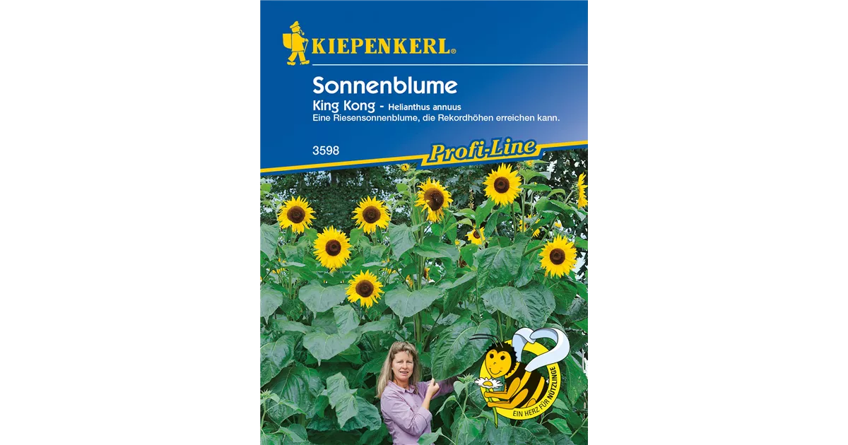 Sonnenblume 'King Kong'