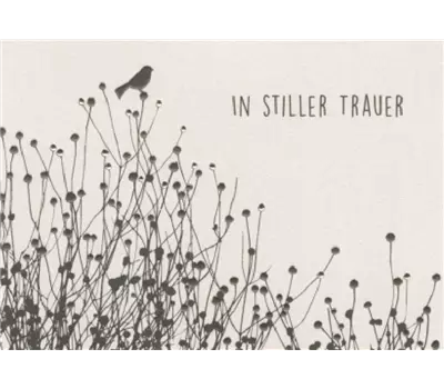 In stiller Trauer (Vogel)