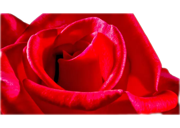 14. Februar- Valentinstag!