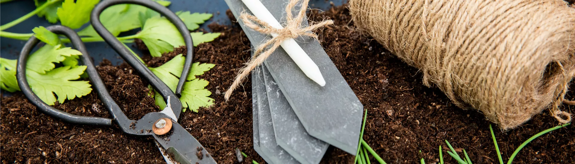 Aussaat - Pflanzenschild