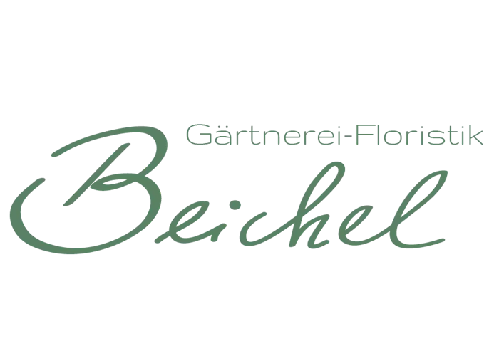 Jalapeno-Chili 'Samira® Shiny' Jalapeno-Chili 'Samira® Shiny'