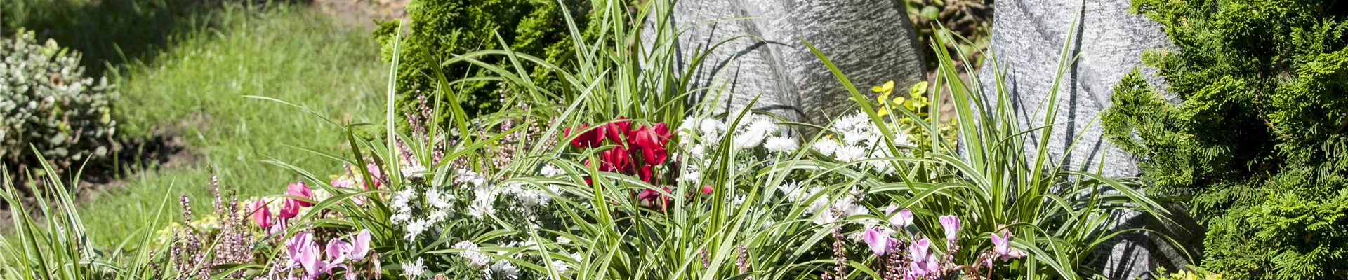 Grabbepflanzung Grabbepflanzung