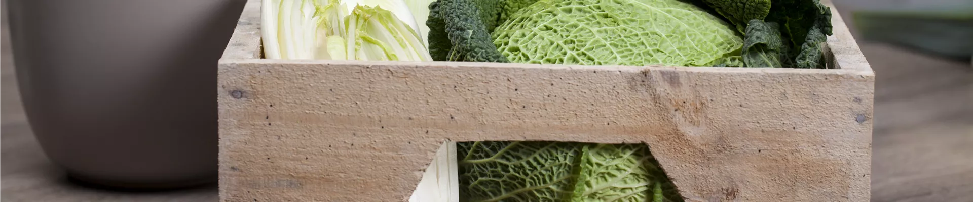 Brassica oleracea var. capitata var. sabauda Brassica oleracea var. capitata var. sabauda