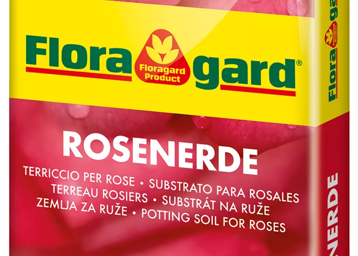Floragard Rosenerde