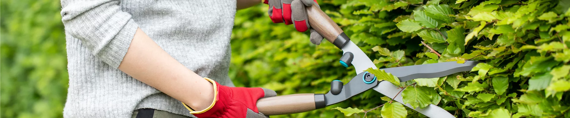 Gartengeräte - Arbeit mit Heckenschere