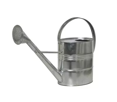 Siena Garden Gießkanne 10 Liter verzinkt in silber Stahlblech Siena Garden Gießkanne 10 Liter verzinkt in silber Stahlblech