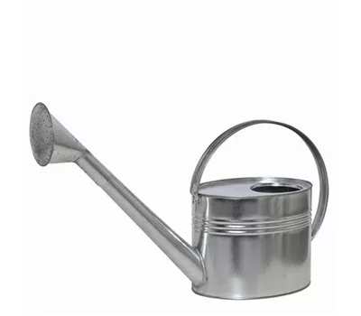 Siena Garden Gießkanne 7 Liter verzinkt in silber Stahlblech Siena Garden Gießkanne 7 Liter verzinkt in silber Stahlblech