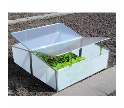 Frühbeet 2-Fach 98,5 x 116 x 38,5 cm