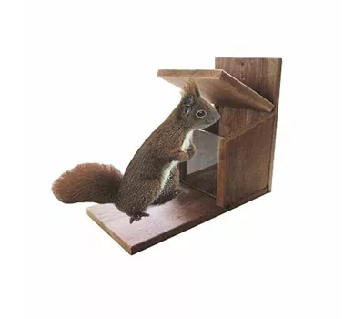 AP.HOSS Futterstation Eichhörnchen 27 cm