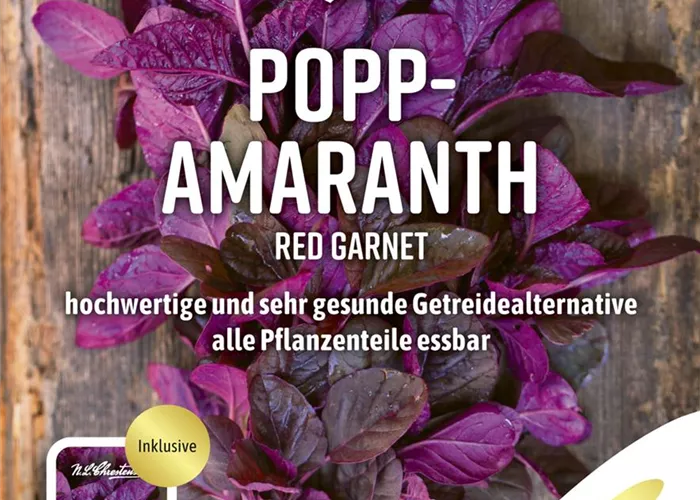 Amaranthsamen 'Red Garnet' Amaranthsamen 'Red Garnet'