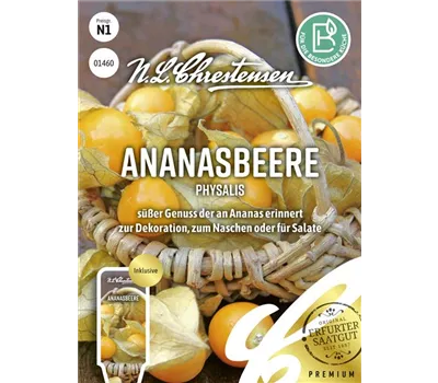 Andenbeerensamen Andenbeerensamen