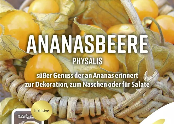 Andenbeerensamen Andenbeerensamen