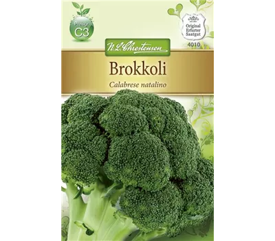 Brokkolisamen 'Calabrese natalino' Brokkolisamen 'Calabrese natalino'