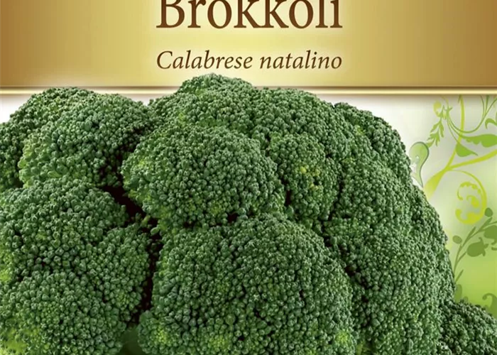 Brokkolisamen 'Calabrese natalino' Brokkolisamen 'Calabrese natalino'