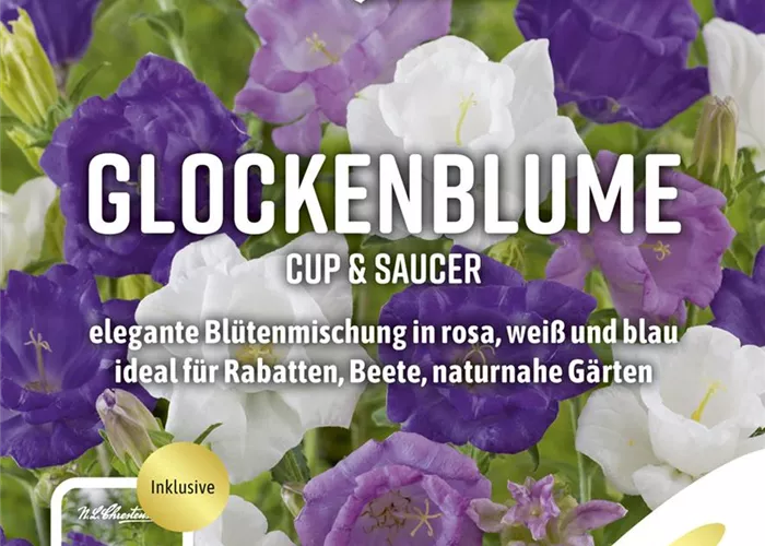 Marien-Glockenblume-Samen 'Cup & Saucer' Marien-Glockenblume-Samen 'Cup & Saucer'