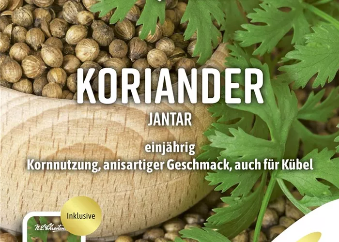 Koriandersamen 'Jantar'