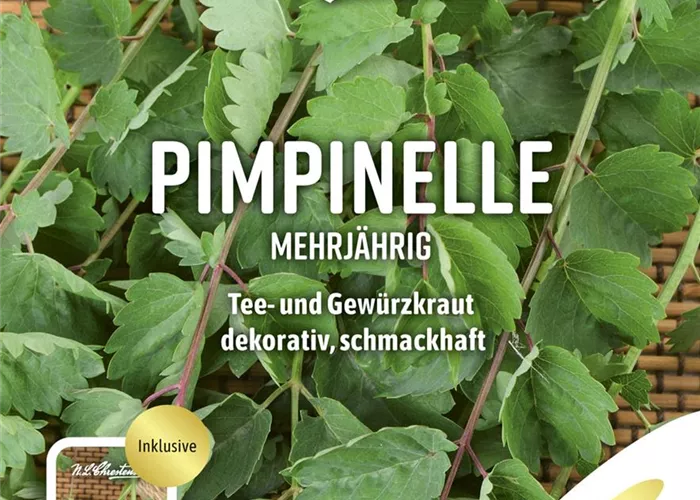 Kleiner Wiesenknopfsamen Kleiner Wiesenknopfsamen