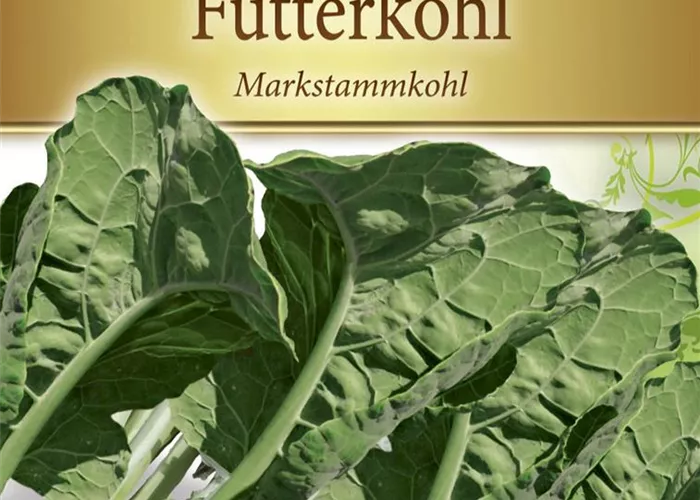 Markstammkohlsamen