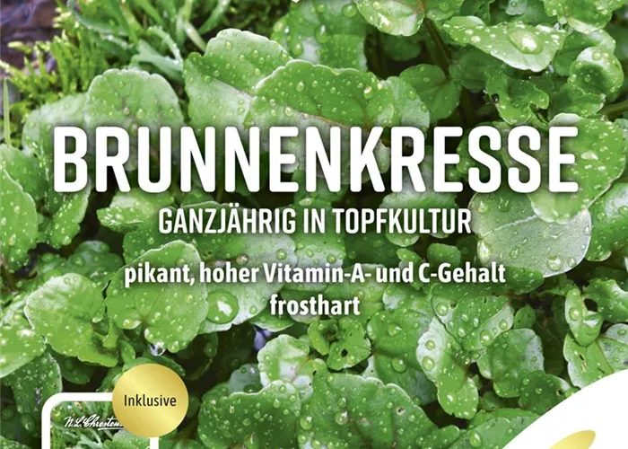 Brunnenkressesamen Brunnenkressesamen