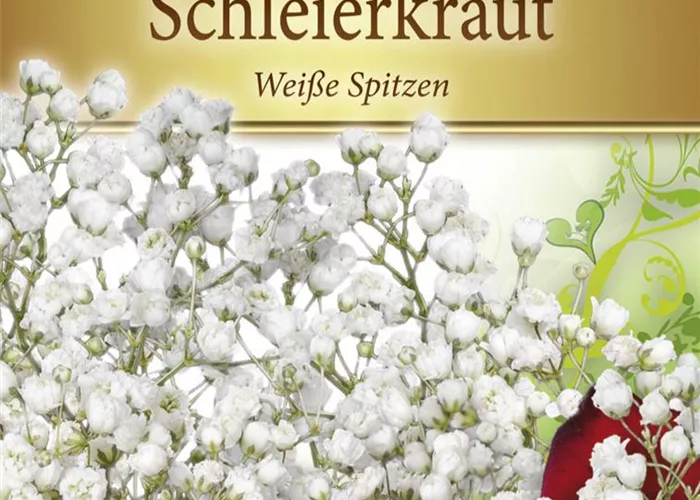 Garten-Schleierkraut-Samen 'Weiße Spitzen' Garten-Schleierkraut-Samen 'Weiße Spitzen'