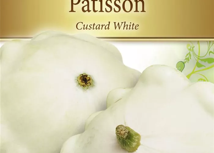 Kürbissamen 'Custard White'