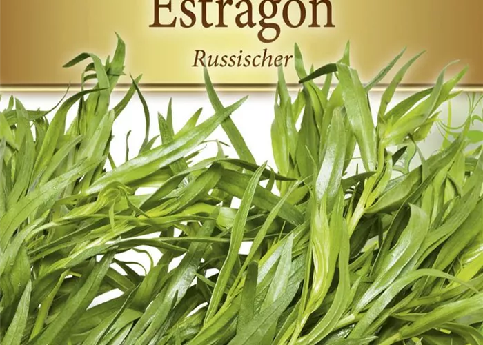 Estragonsamen