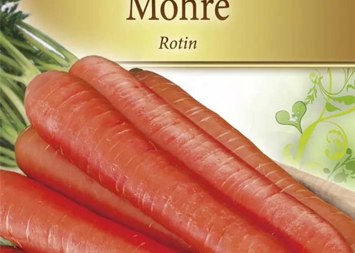 Möhresamen 'Rotin'