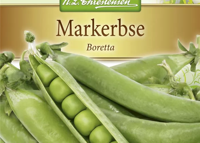 Erbsensamen 'Boretta'