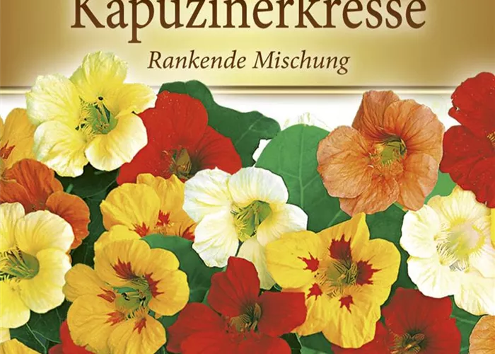Kapuzinerkressesamen 'Rankende Mischung'