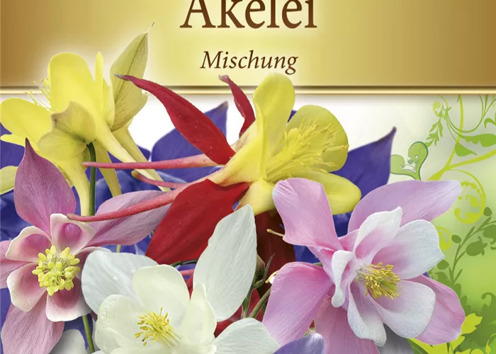 Langspornige Akelei-Samen