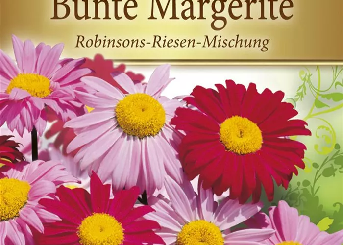 Mageritensamen 'Robinsons Riesen'