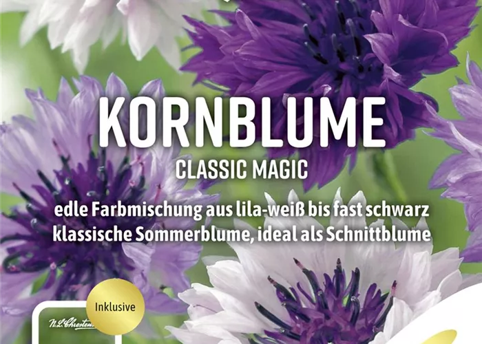 Kornblumensamen 'Classic Magic'