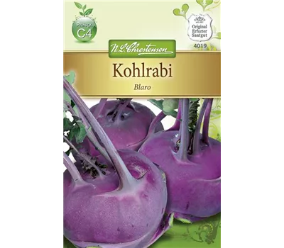 Kohlrabisamen 'Blaro' Kohlrabisamen 'Blaro'