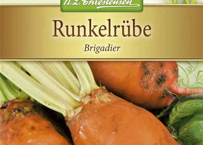 Futter-Rüben-Samen 'Brigadier' Futter-Rüben-Samen 'Brigadier'