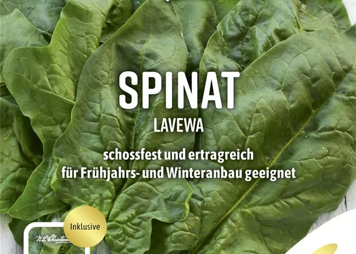Spinatsamen 'Lavewa'
