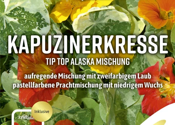 Kapuzinerkressesamen 'Tip-Top Alaska'