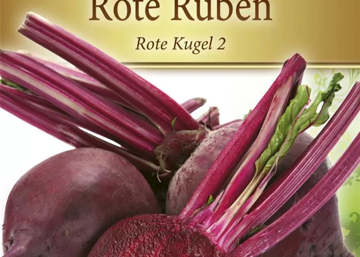 Rote Beete-Samen 'Rote Kugel 2' Rote Beete-Samen 'Rote Kugel 2'
