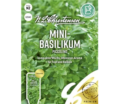 Basilikumsamen 'Piccolino' Basilikumsamen 'Piccolino'