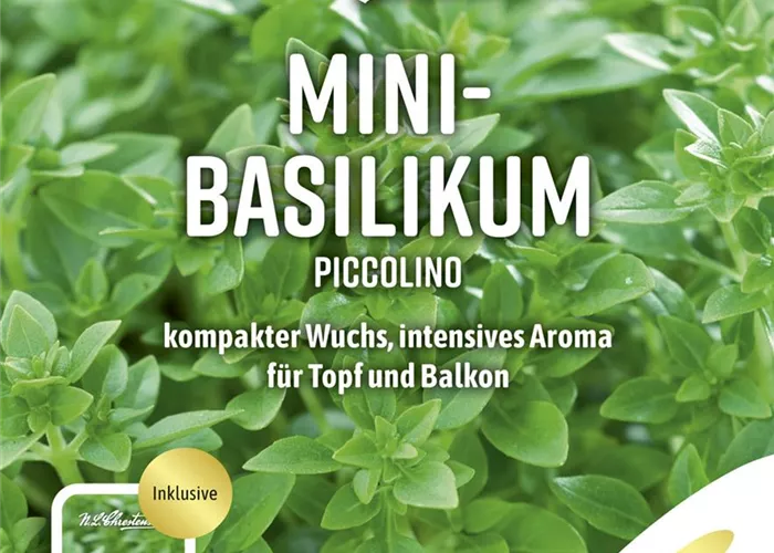 Basilikumsamen 'Piccolino'