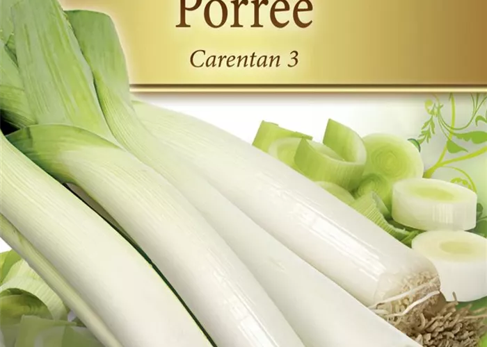 Lauchsamen 'Carentan 3'