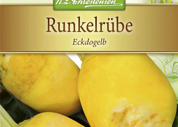 Futter-Rüben-Samen 'Eckdogelb' Futter-Rüben-Samen 'Eckdogelb'