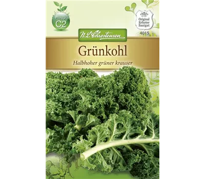 Grünkohlsamen 'Halbhoher Grüner Krauser' Grünkohlsamen 'Halbhoher Grüner Krauser'