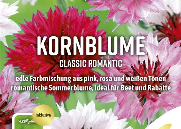 Kornblumensamen 'Classic Romantic'