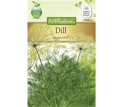 Dillsamen 'Blattreicher' Dillsamen 'Blattreicher'