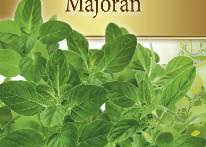 Majoransamen Majoransamen