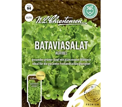 Bataviasalatsamen 'Agribel' Bataviasalatsamen 'Agribel'