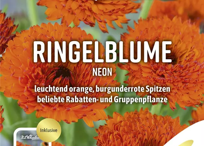 Ringelblumensamen 'Neon' Ringelblumensamen 'Neon'