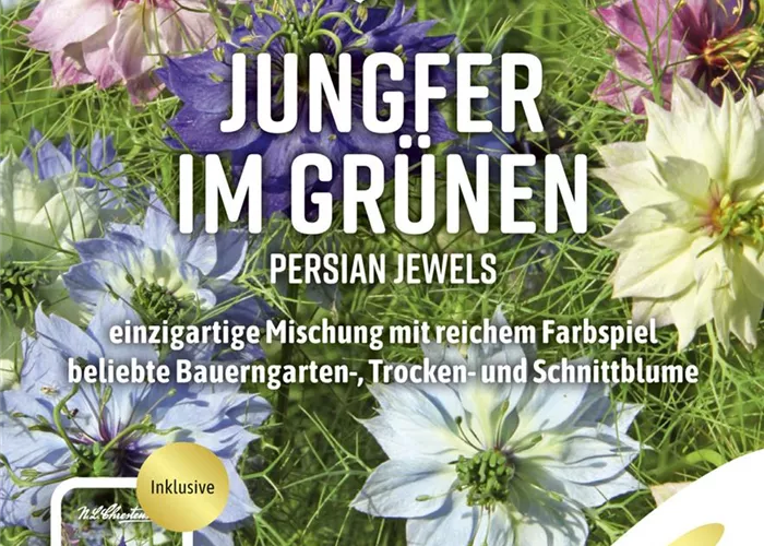 Jungfer im Grünen-Samen 'Persian Jewels' Jungfer im Grünen-Samen 'Persian Jewels'