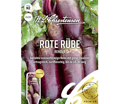 Rote Rübe-Samen 'Renova'
