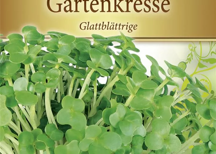 Kressesamen Kressesamen